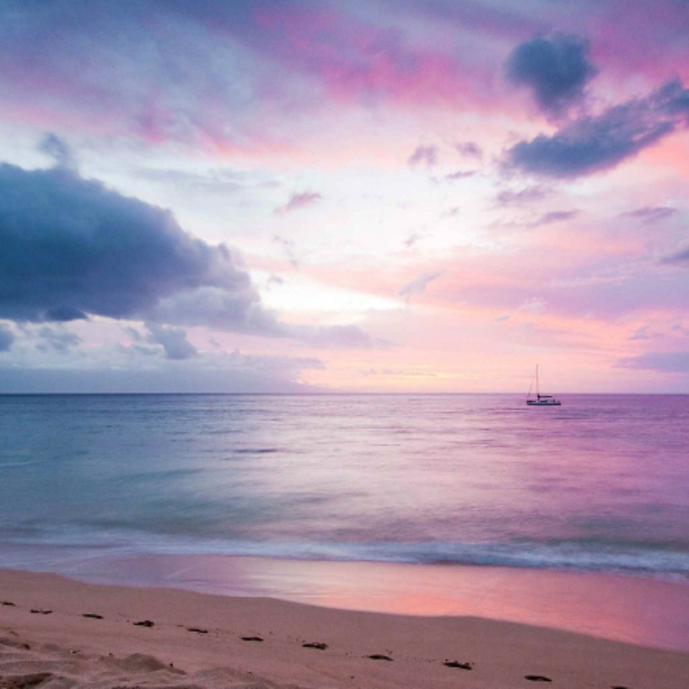 Meet your Posher, Breanna